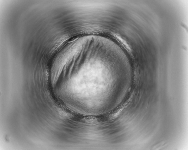 X0000093220113200710241224