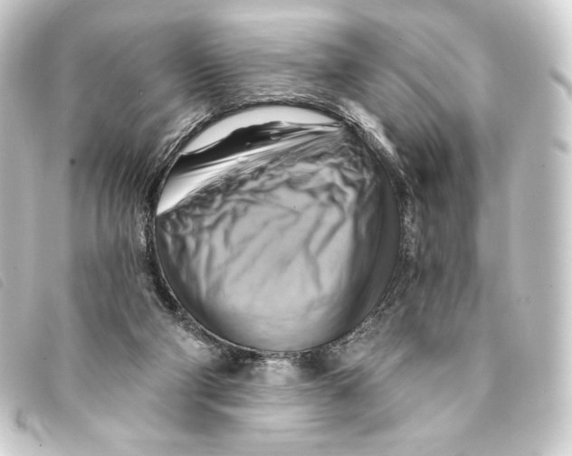 X0000093220114200710241224