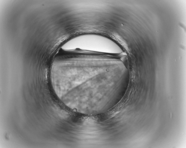 X0000093220115200710241224