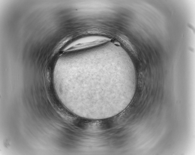 X0000093220116200710241224