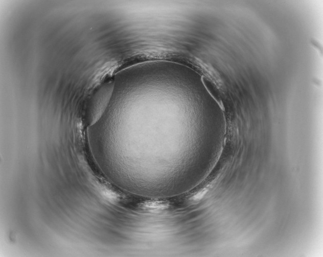 X0000093220117200710241224