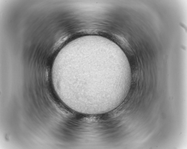 X0000093220120200710241224