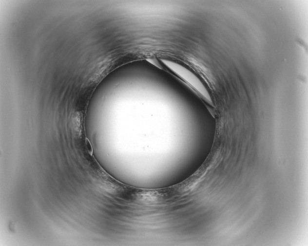 X0000093220121200710241224