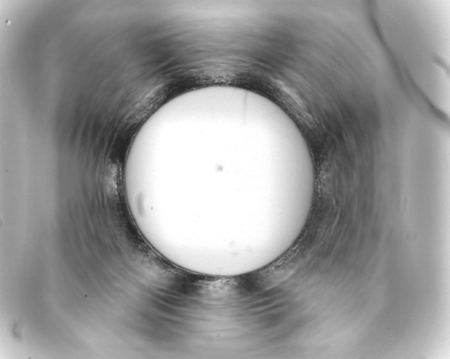 X0000093220122200710241224