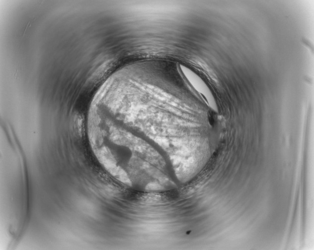 X0000093220123200710241224