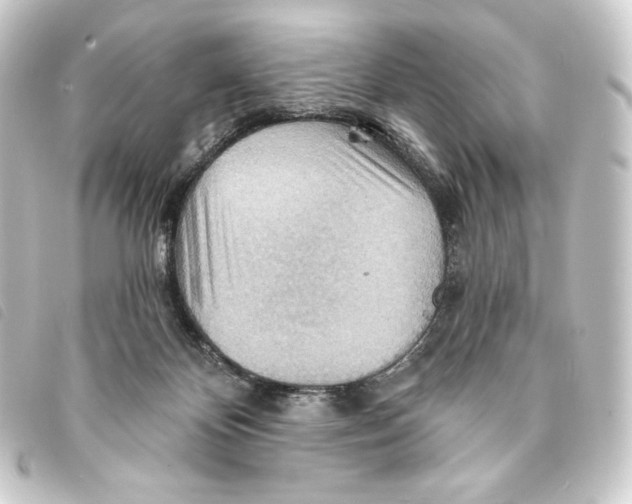 X0000093220124200710241224