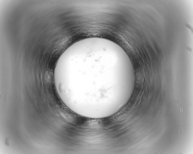 X0000093220126200710241224