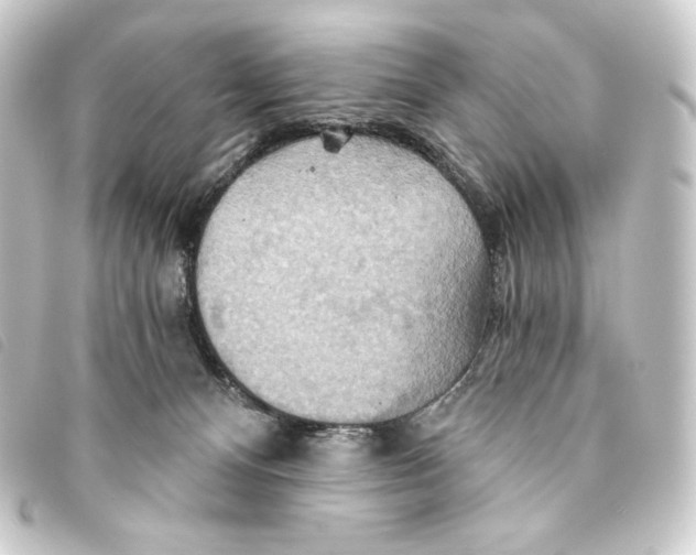 X0000093220128200710241224