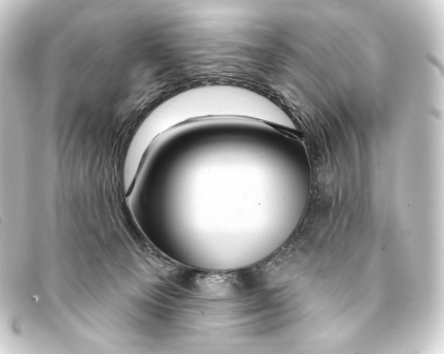 X0000093220129200710241224