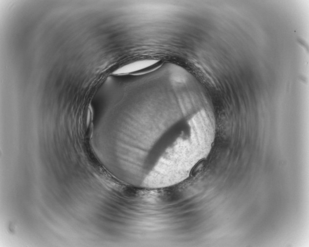 X0000093220131200710241223