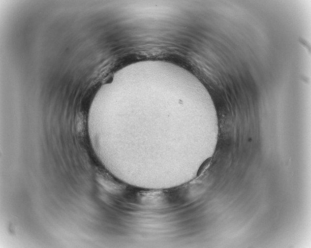 X0000093220132200710241223