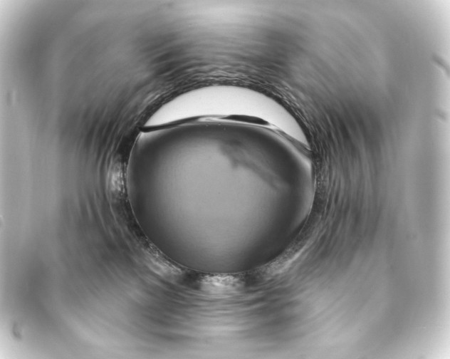 X0000093220137200710241223