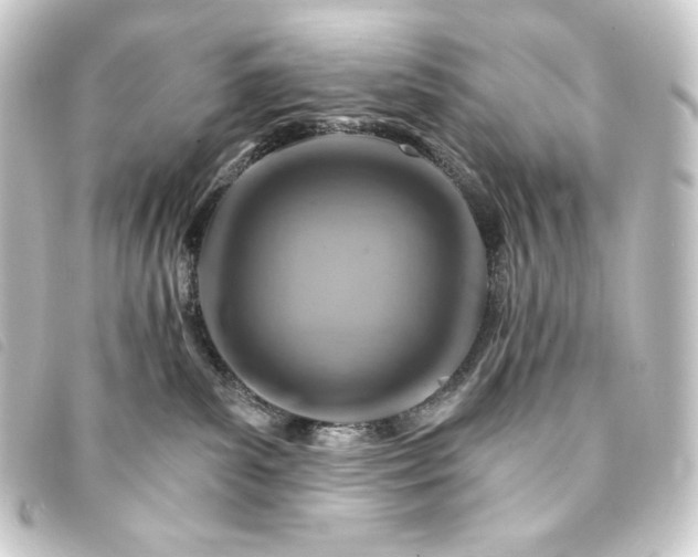 X0000093220139200710241223