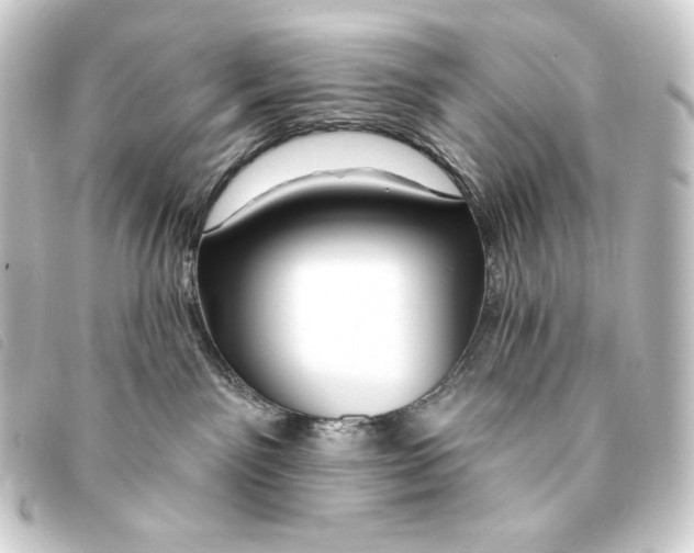 X0000093220141200710241223