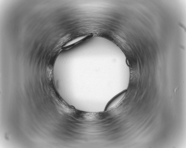 X0000093220142200710241223