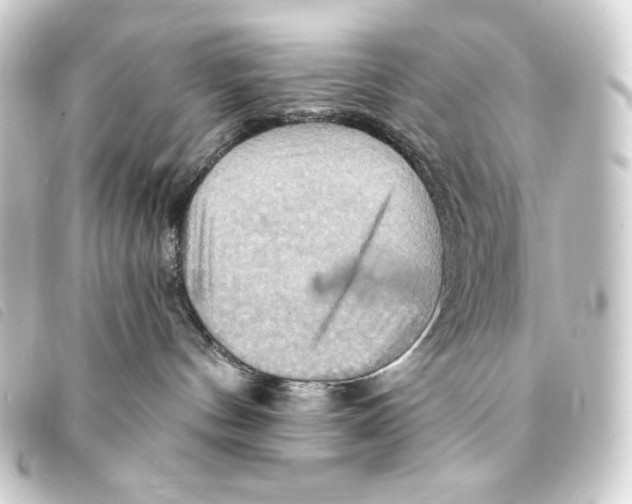 X0000093220144200710241223