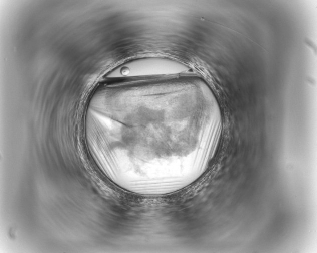 X0000093220145200710241223