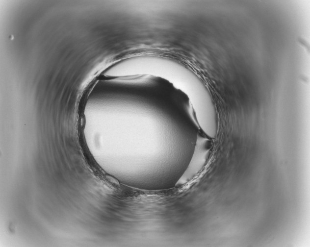 X0000093220150200710241223