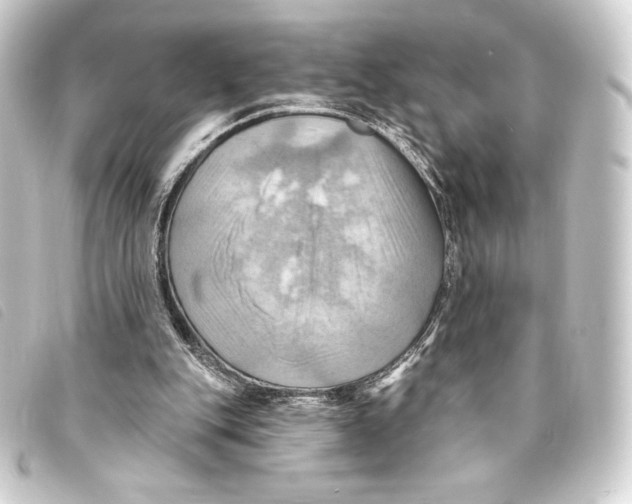 X0000093220151200710241223