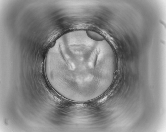 X0000093220153200710241223