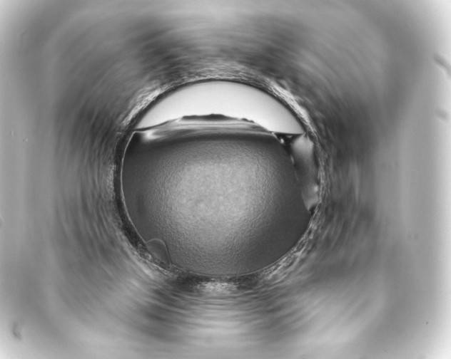 X0000093220154200710241223