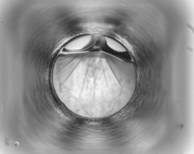 X0000093220155200710241223