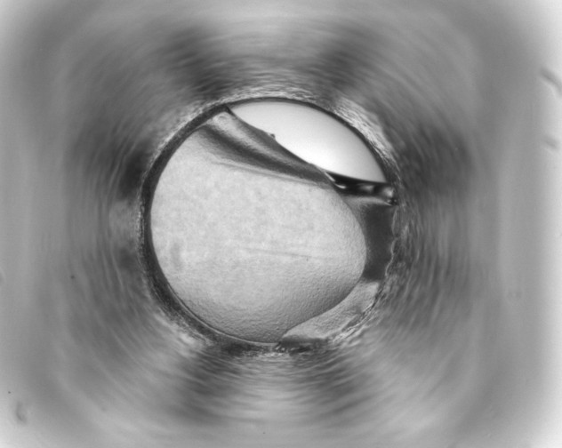 X0000093220156200710241223