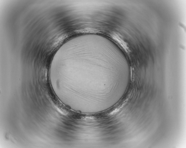 X0000093220157200710241223