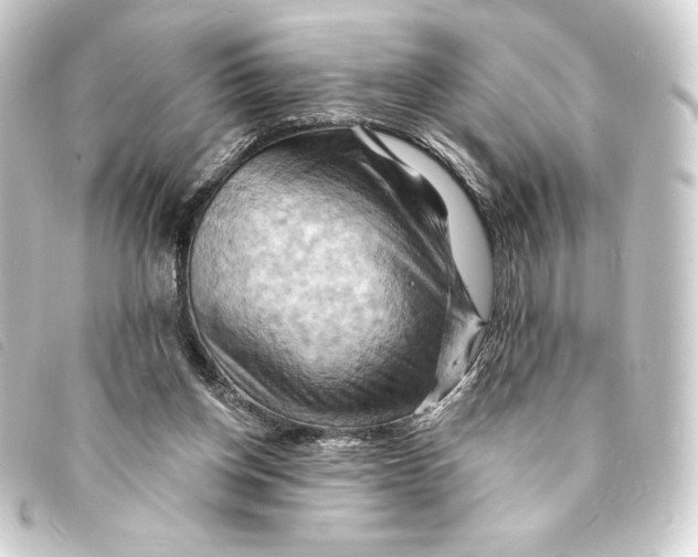 X0000093220158200710241223