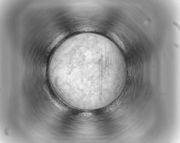 X0000093220159200710241223