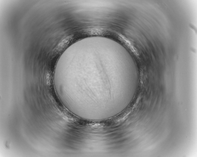 X0000093220161200710241223