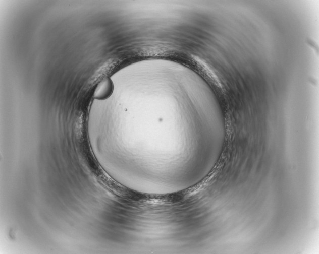 X0000093220163200710241223