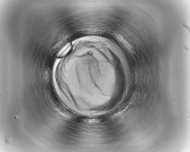 X0000093220165200710241223