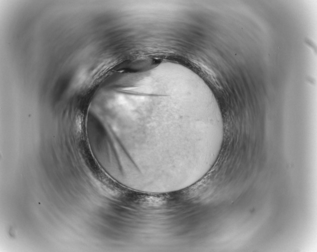 X0000093220166200710241223