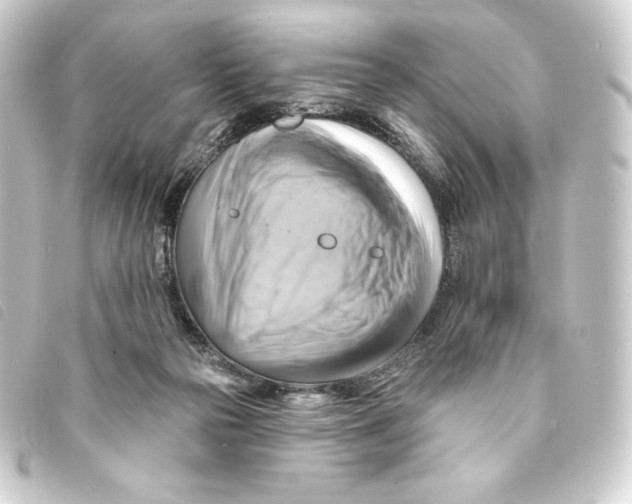 X0000093220169200710241223