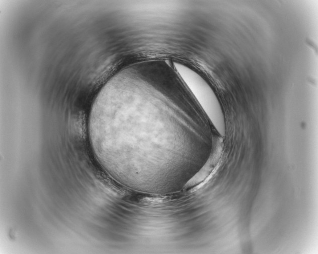 X0000093220170200710241223