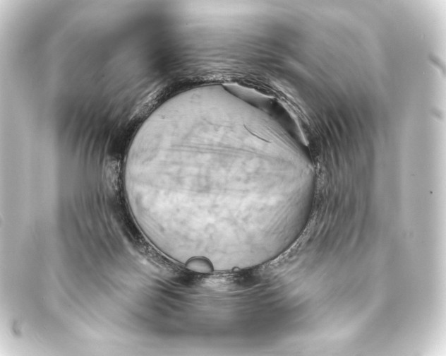 X0000093220171200710241223