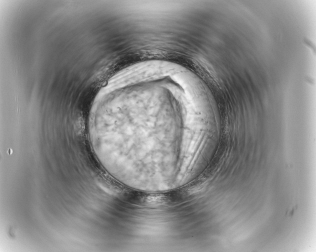 X0000093220173200710241223