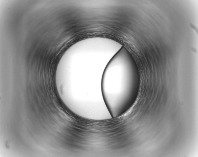 X0000093220174200710241223