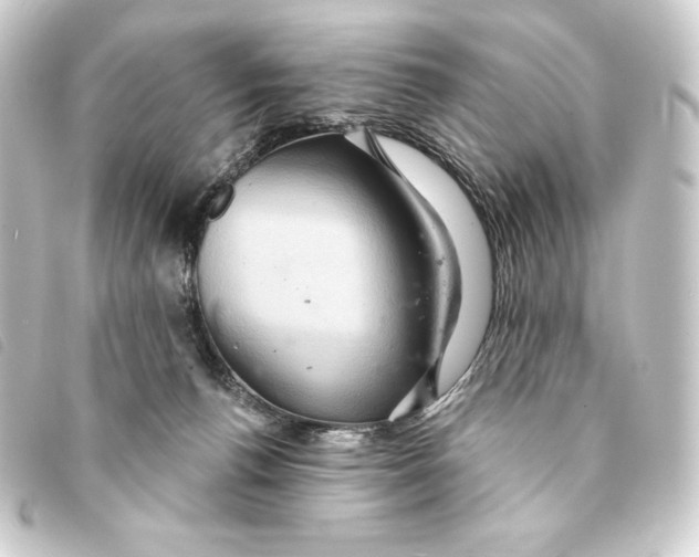 X0000093220176200710241223