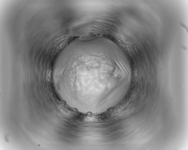 X0000093220177200710241223