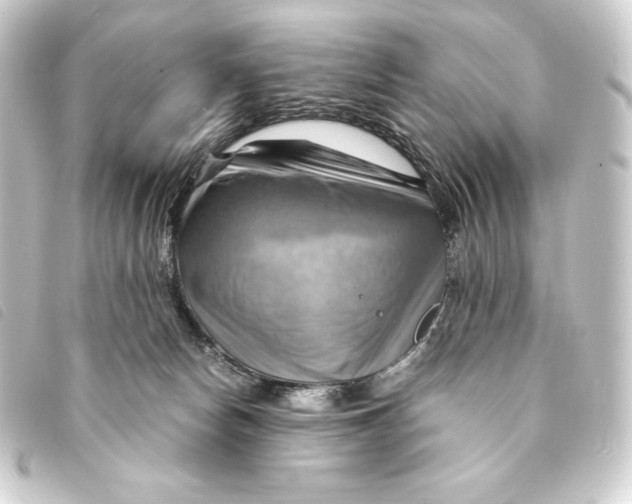 X0000093220178200710241223