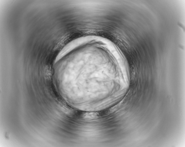 X0000093220179200710241223