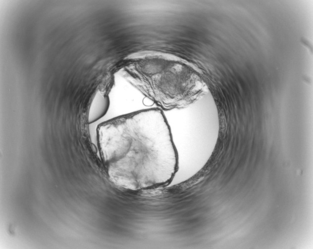 X0000093220181200710241223