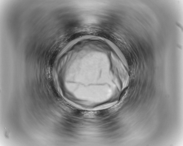 X0000093220182200710241223