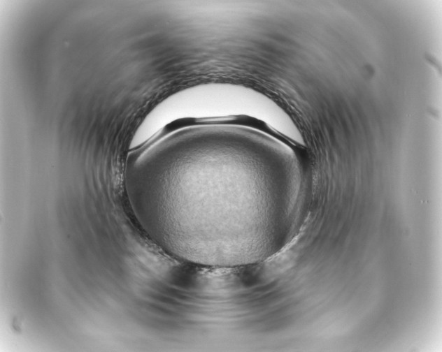 X0000093220186200710241223