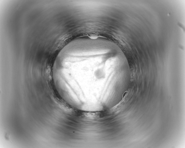 X0000093220187200710241223