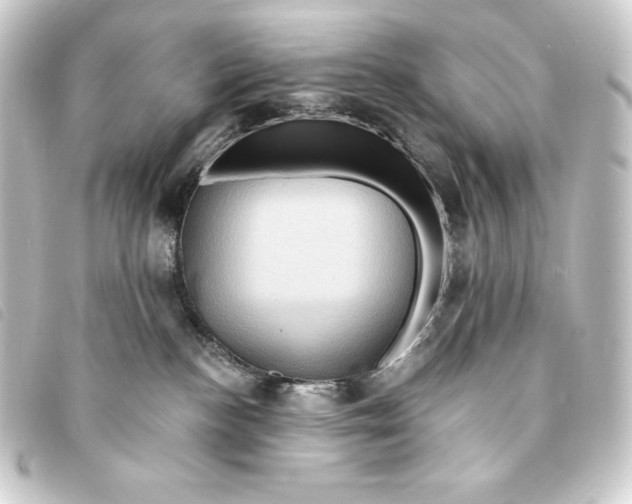 X0000093220188200710241223