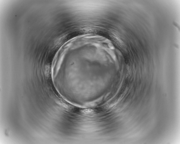 X0000093220189200710241223