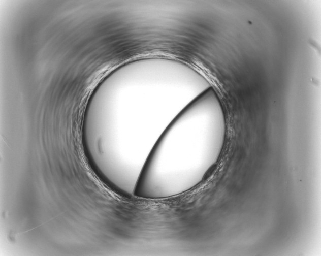 X0000093220193200710241223